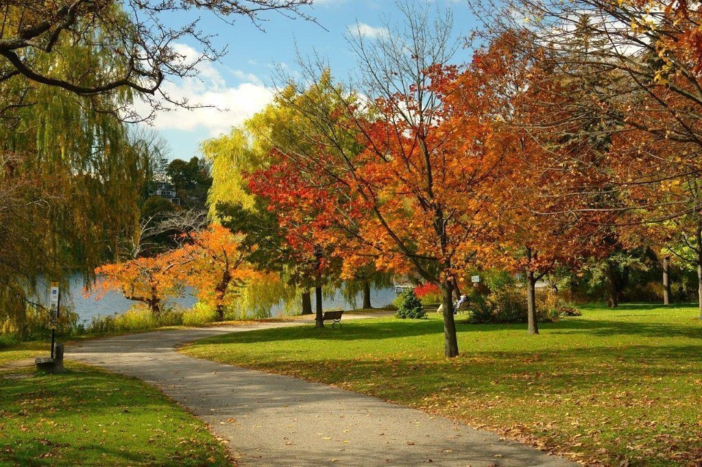 Fall Path